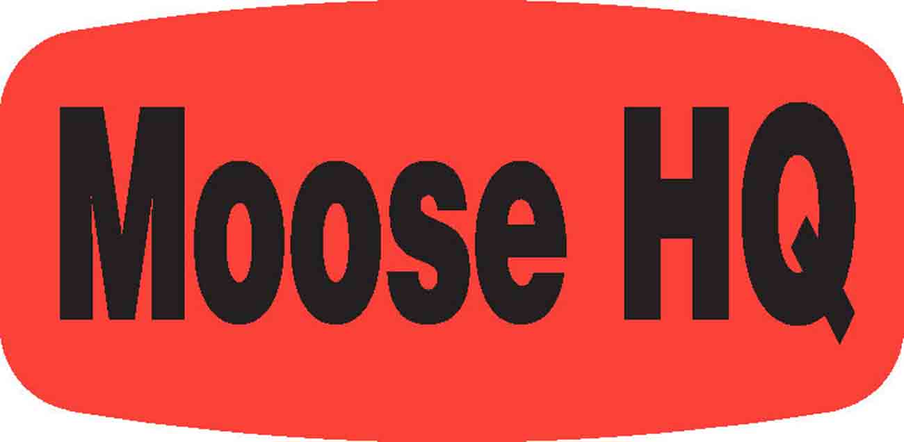 Moose HQ DayGlo Label - 10 MIN