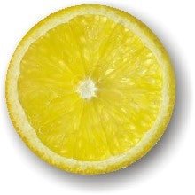 Lemon Slice Labels, Lemon Slice Stickers