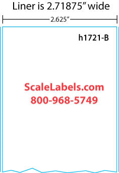 Mettler Toledo 325/8425/UCST Continuous Strip Label w/ Sideliner