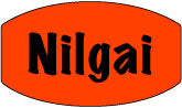Nilgai DayGlo Labels