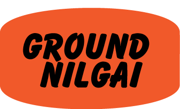 Nilgai Ground DayGlo Labels, Ground Nilgai Stickers