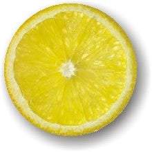 Lemon Slice Labels, Lemon Slice Stickers
