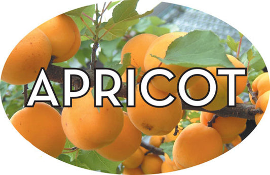 Apricot Flavor Labels, Apricot Flavor Stickers