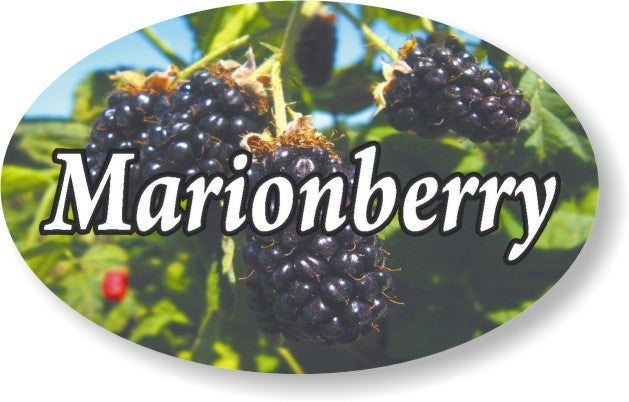 Marionberry Flavor Labels, Marionberry Flavor Stickers