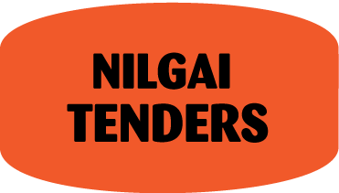 Nilgai Tenders DayGlo Labels, Nilgai Tenders Stickers