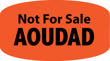 Not For Sale Aoudad DayGlo Label