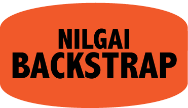 Nilgai Backstrap DayGlo Labels, Nilgai Backstrap Stickers