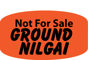 Not For Sale Nilgai Ground DayGlo Label
