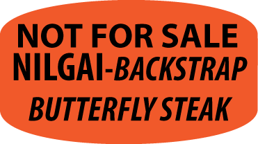Not For Sale Nilgai Backstrap Butterfly Steak DayGlo Label